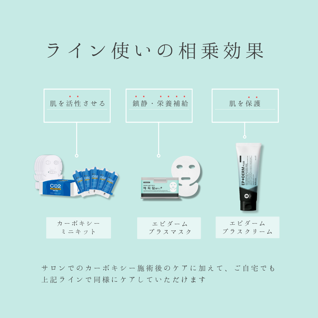 【正規品】エピダームプラスマスク 25枚入