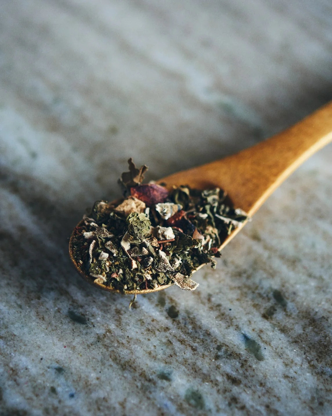 【7】脾 〜Spleen〜