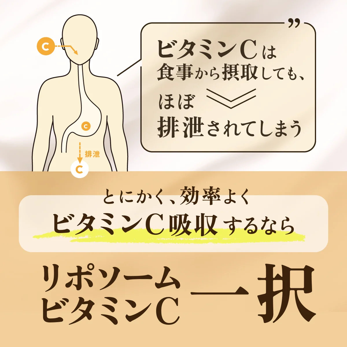 LIPO PLUS リポプラス リポソームビタミンC 1500mg